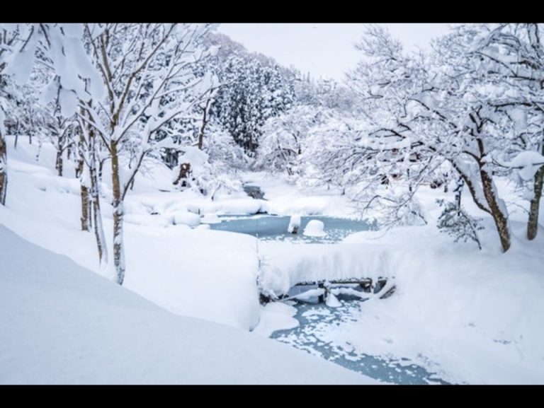 f55677cc-b790-4265-b568-25cde58c1e86 (1)