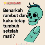 Logo Abati Kids (1)
